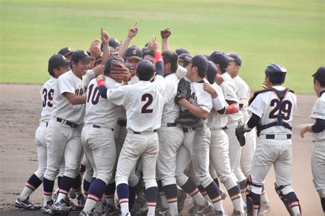 大阪 商業 大学 硬式 野球 部